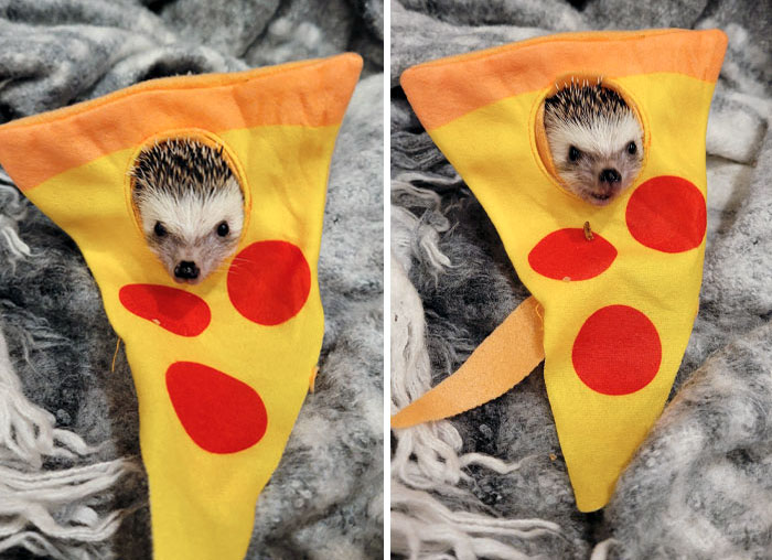 A Little Early, But Happy Halloween From Pizza-Hog