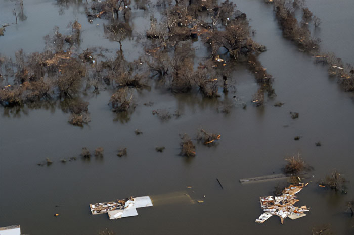 30 People Share Their “We Need To Leave Right Now” Experiences That Ended Well For Them