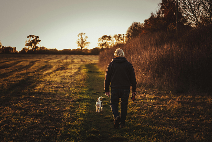 A man walking a dog along a field path during sunset. A man walking a dog along a field path during sunset.