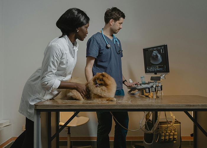 Vets Tell Pet Owner There Is No Gay Test, He Loses It And Throws A Tantrum