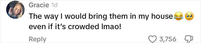 Viral Couple Who Didn&rsquo;t Evacuate Amid Hurricane Milton Brings Donkey Into Their Home