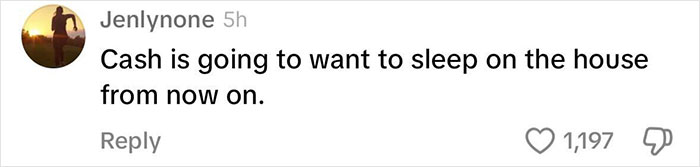 Viral Couple Who Didn&rsquo;t Evacuate Amid Hurricane Milton Brings Donkey Into Their Home