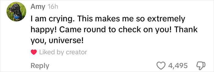 Viral Couple Who Stayed To Care For Animals Reveal Farm&rsquo;s Destruction After Hurricane Milton