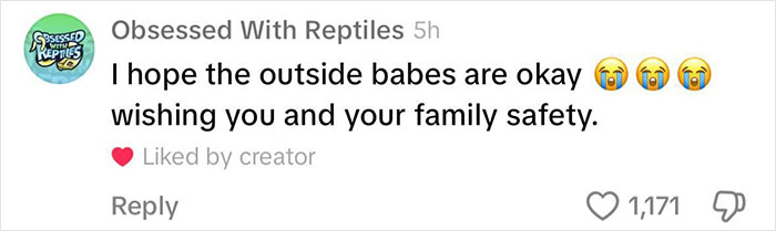 Viral Couple Who Didn&rsquo;t Evacuate Amid Hurricane Milton Brings Donkey Into Their Home