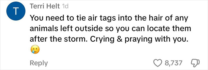 Viral Couple Who Didn&rsquo;t Evacuate Amid Hurricane Milton Brings Donkey Into Their Home