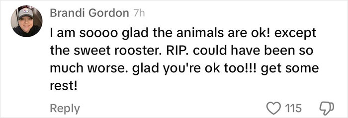 Viral Couple Who Stayed To Care For Animals Reveal Farm&rsquo;s Destruction After Hurricane Milton