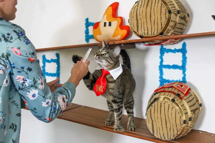 I Designed A Donkey Kong Cat Wall