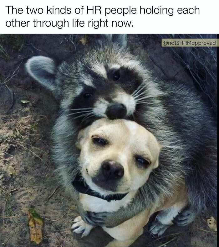 Classic-Hr-Memes