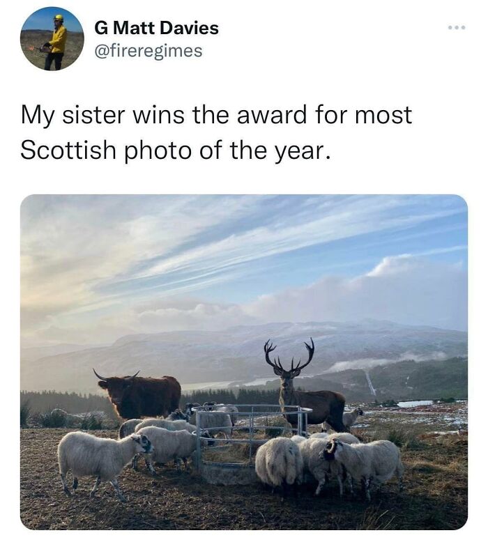 Funny-Scottish-Humour-Posts