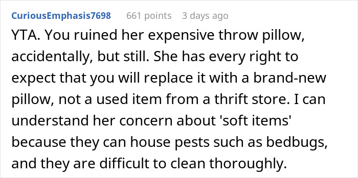 Woman Vows To Replace Her Friend's Ruined $70 Pillow, But Offers A Thrifted Version, Owner Fumes