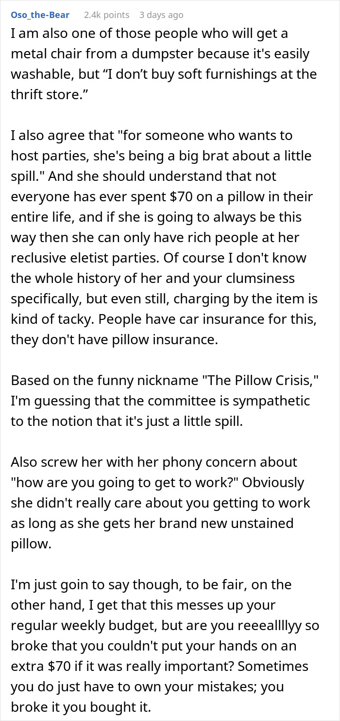 Woman Vows To Replace Her Friend's Ruined $70 Pillow, But Offers A Thrifted Version, Owner Fumes