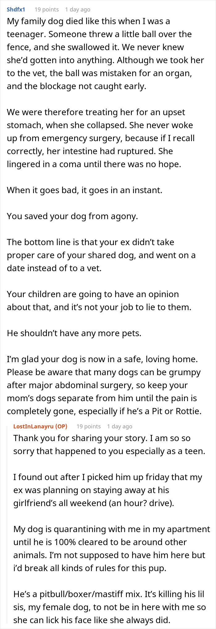Guy Almost Lets His Kids’ Dog Die Out Of Carelessness, Clueless Why The Kids Suddenly Hate Him Guy Almost Lets His Kids’ Dog Die Out Of Carelessness, Clueless Why The Kids Suddenly Hate Him