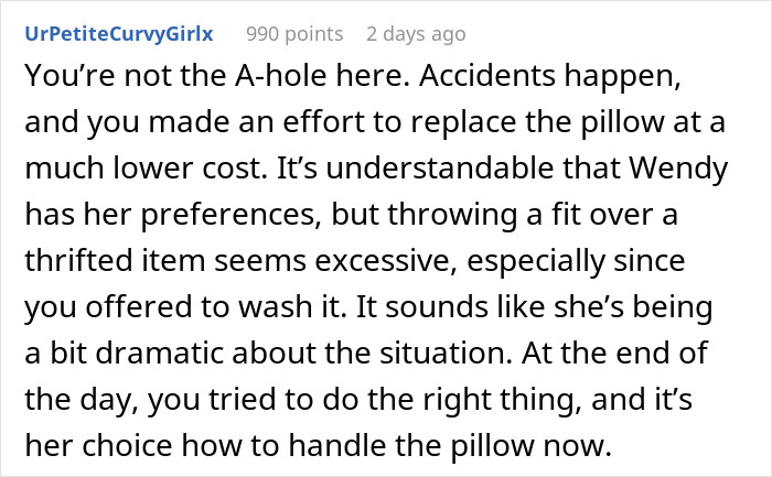 Woman Vows To Replace Her Friend's Ruined $70 Pillow, But Offers A Thrifted Version, Owner Fumes
