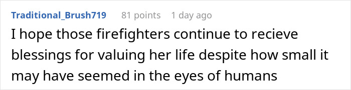 Spider Living Her 3rd Decade Ends Up In A House Fire, Gets Heroically Saved By The Firefighters