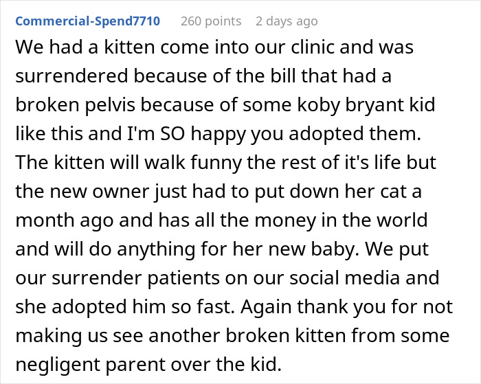 Girl Loses It When Woman Adopts A Cat She Wanted At The Shelter As Punishment For Torturing It