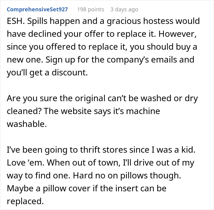 Woman Vows To Replace Her Friend's Ruined $70 Pillow, But Offers A Thrifted Version, Owner Fumes