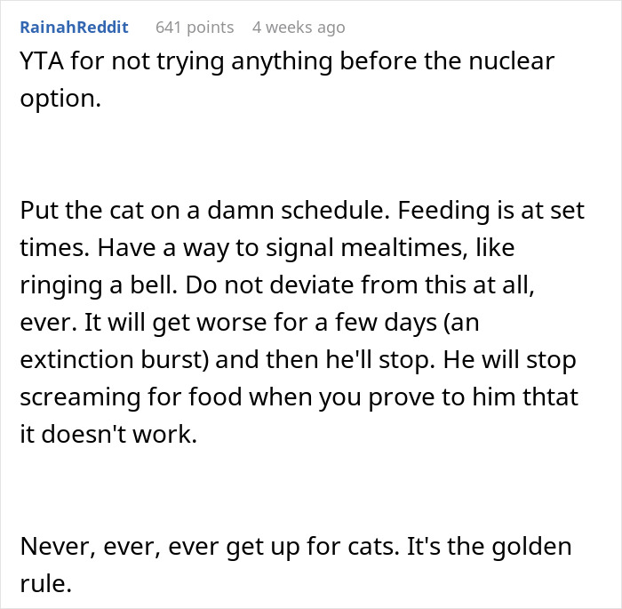 Man Loses Patience Over Wife&rsquo;s &ldquo;Frustratingly Annoying&rdquo; Cat, Gives Her An Ultimatum