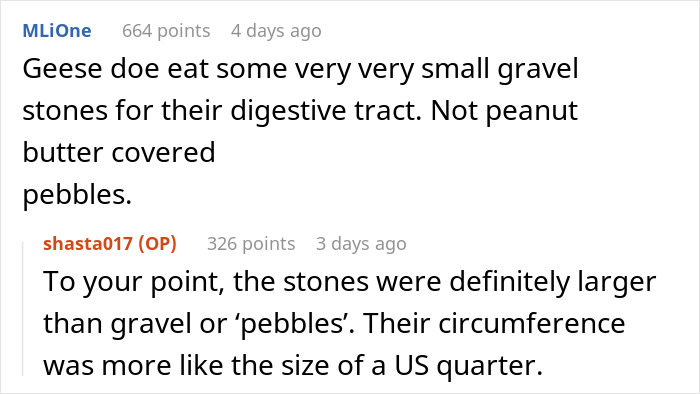Woman Is Stunned When A Random Person Teaches Her Child A Lesson About Hurting Animals Woman Is Stunned When A Random Person Teaches Her Child A Lesson About Hurting Animals