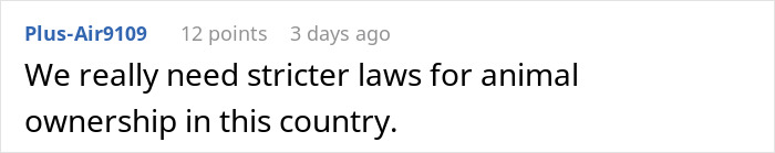 Pig Who Was Left Tied To Petrol Station Before Hurricane Gets Rescued, And People Online Love It Pig Who Was Left Tied To Petrol Station Before Hurricane Gets Rescued, And People Online Love It