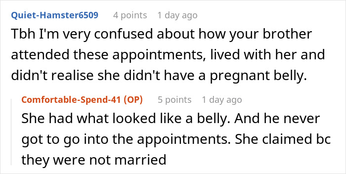 Woman Lies About Pregnancy For 9 Months: "Who Does This?" Woman Lies About Pregnancy For 9 Months: "Who Does This?"
