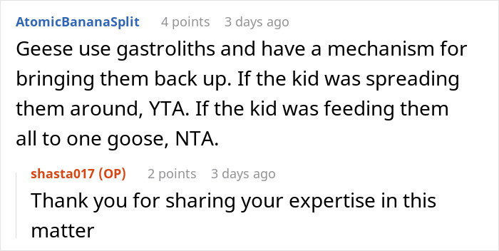Woman Is Stunned When A Random Person Teaches Her Child A Lesson About Hurting Animals Woman Is Stunned When A Random Person Teaches Her Child A Lesson About Hurting Animals