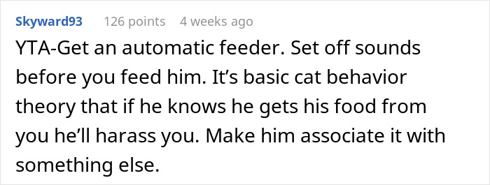 Man Loses Patience Over Wife&rsquo;s &ldquo;Frustratingly Annoying&rdquo; Cat, Gives Her An Ultimatum