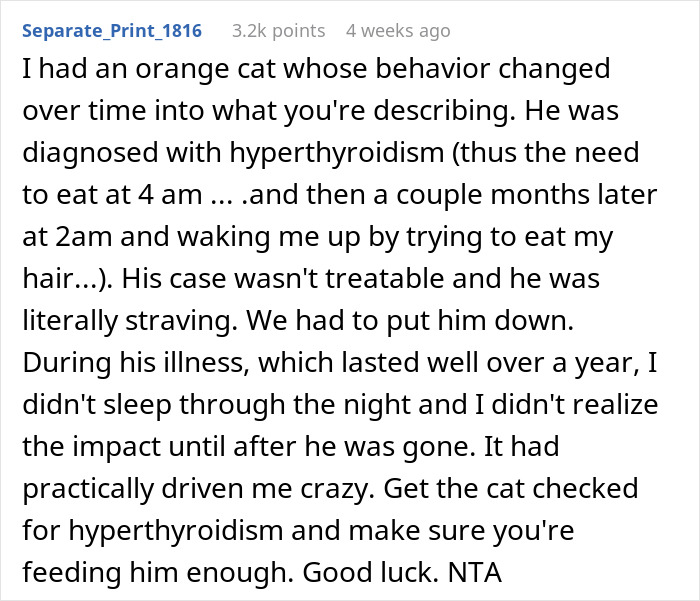 Man Loses Patience Over Wife&rsquo;s &ldquo;Frustratingly Annoying&rdquo; Cat, Gives Her An Ultimatum