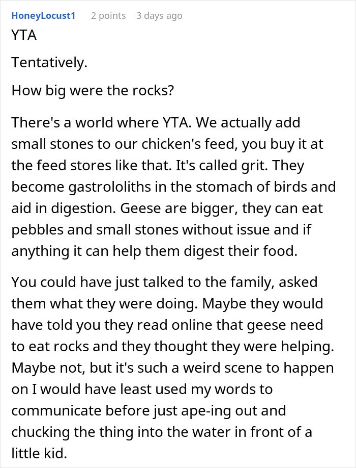 Woman Is Stunned When A Random Person Teaches Her Child A Lesson About Hurting Animals Woman Is Stunned When A Random Person Teaches Her Child A Lesson About Hurting Animals