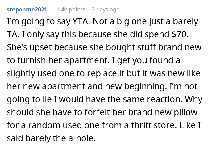 Woman Vows To Replace Her Friend's Ruined $70 Pillow, But Offers A Thrifted Version, Owner Fumes