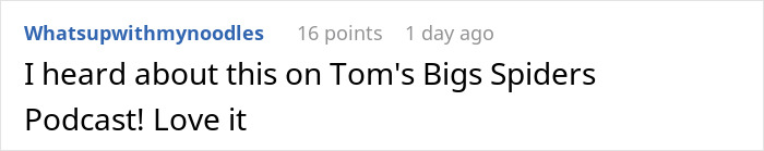 Spider Living Her 3rd Decade Ends Up In A House Fire, Gets Heroically Saved By The Firefighters