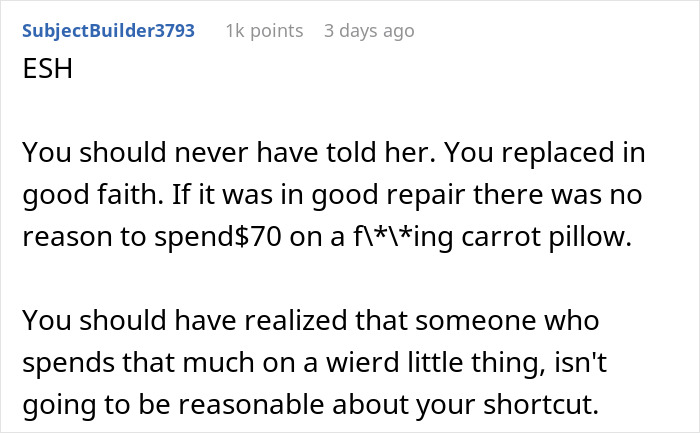 Woman Vows To Replace Her Friend's Ruined $70 Pillow, But Offers A Thrifted Version, Owner Fumes