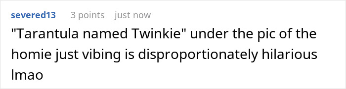 Spider Living Her 3rd Decade Ends Up In A House Fire, Gets Heroically Saved By The Firefighters