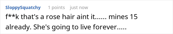 Spider Living Her 3rd Decade Ends Up In A House Fire, Gets Heroically Saved By The Firefighters