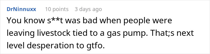 Pig Who Was Left Tied To Petrol Station Before Hurricane Gets Rescued, And People Online Love It Pig Who Was Left Tied To Petrol Station Before Hurricane Gets Rescued, And People Online Love It
