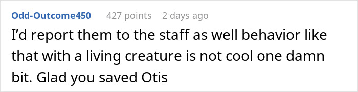 Girl Loses It When Woman Adopts A Cat She Wanted At The Shelter As Punishment For Torturing It