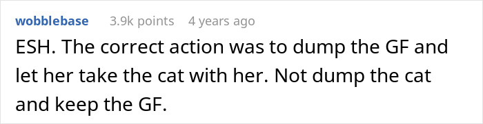 GF Wants A Pet, BF Says Anything But A Cat Is Fine, She Buys A Kitten Anyway, BF Breaks Up With Her