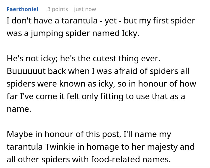 Spider Living Her 3rd Decade Ends Up In A House Fire, Gets Heroically Saved By The Firefighters