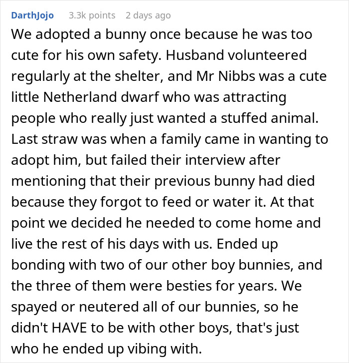 Girl Loses It When Woman Adopts A Cat She Wanted At The Shelter As Punishment For Torturing It
