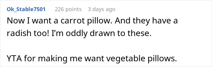 Woman Vows To Replace Her Friend's Ruined $70 Pillow, But Offers A Thrifted Version, Owner Fumes