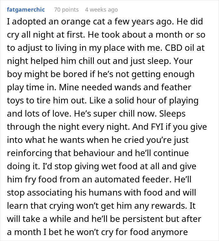 Man Loses Patience Over Wife&rsquo;s &ldquo;Frustratingly Annoying&rdquo; Cat, Gives Her An Ultimatum
