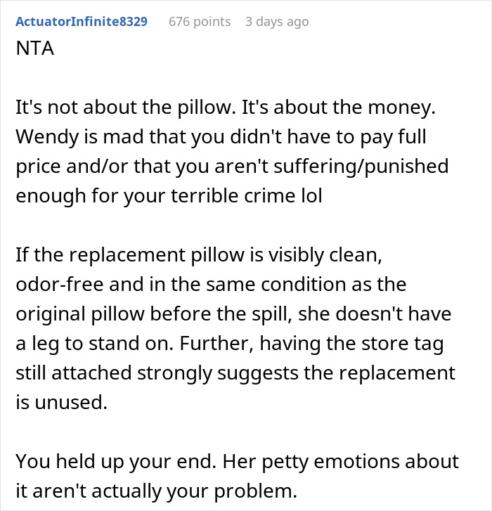 Woman Vows To Replace Her Friend's Ruined $70 Pillow, But Offers A Thrifted Version, Owner Fumes
