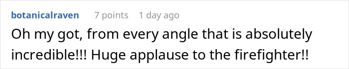 Spider Living Her 3rd Decade Ends Up In A House Fire, Gets Heroically Saved By The Firefighters