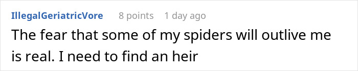 Spider Living Her 3rd Decade Ends Up In A House Fire, Gets Heroically Saved By The Firefighters