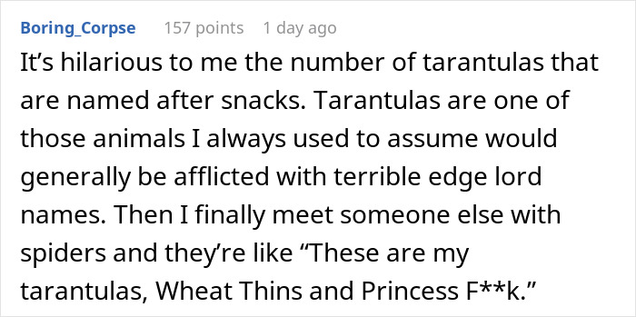 Spider Living Her 3rd Decade Ends Up In A House Fire, Gets Heroically Saved By The Firefighters