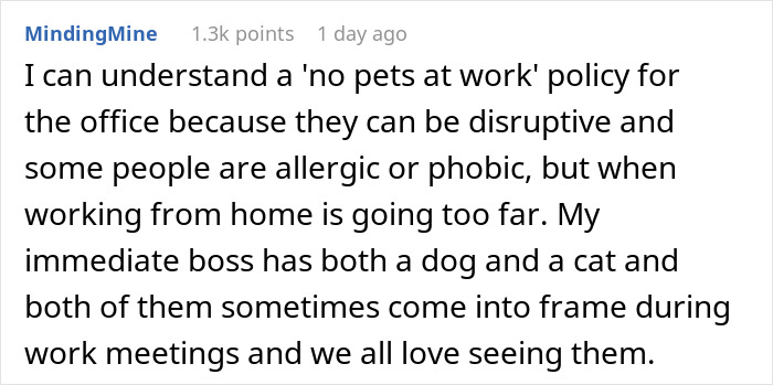 &ldquo;My Dog Was Simply Sitting&rdquo;: Worker Maliciously Complies With No-Dogs Home Office Policy