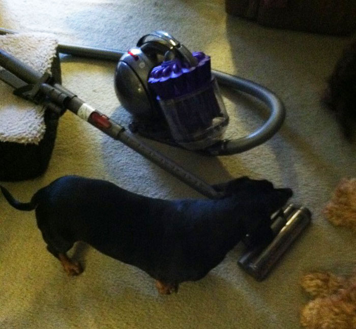 "Flushable Wipes": 50 Things That Need To Be Renamed