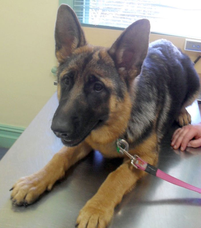 "Flushable Wipes": 50 Things That Need To Be Renamed