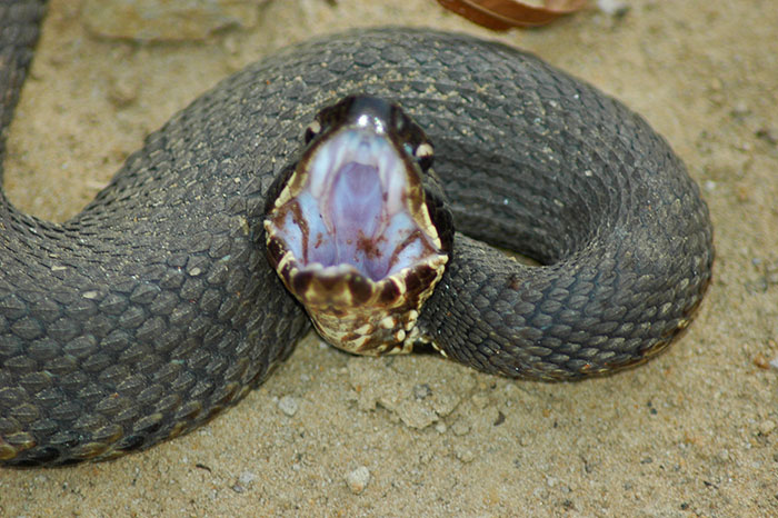 "Flushable Wipes": 50 Things That Need To Be Renamed