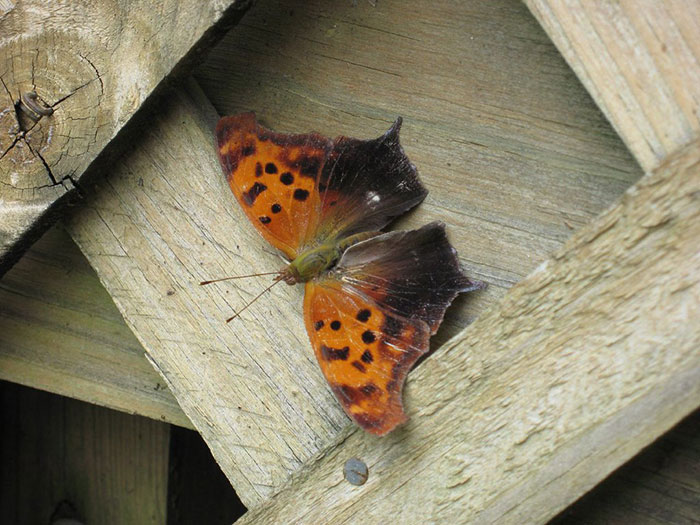 "Flushable Wipes": 50 Things That Need To Be Renamed