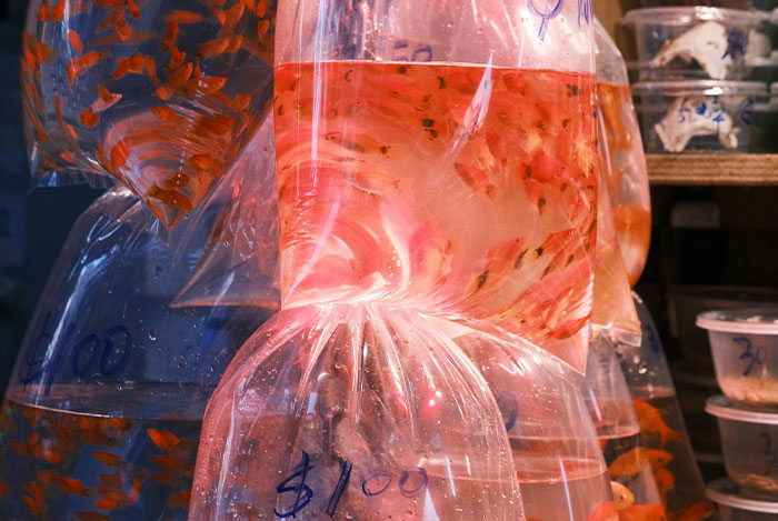 “Window Cleaners”: 50 Industries That Are Way More Dark And Sinister Than Most Realize